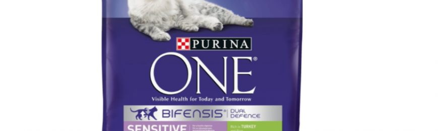 Purina One Cat Food Sample