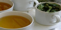 Organic Luponde Tea Samples
