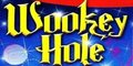 20% off Wookey Hole