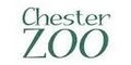 Selection of MOC For Chester Zoo