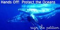 Vote to help Greenpeace save our fishing grounds