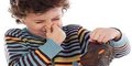 260 x Shoe Odour Patches