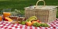 2,000 x Picnic Bags
