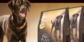 £5 off Pro-Plan Adult Dog Food