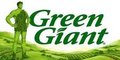 Green Giant Height Charts – New