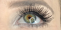 1,000 x Lash Fibre Extension Kits