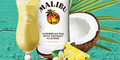 Free Piña Colada From Malibu