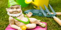 Limited Edition Garden Gnomes