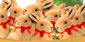 Plush Lindt Soft Toy Bunny