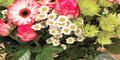 280 x Bouquets of Flowers Worth £29