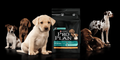 £5.00 off Purina Pro-Plan Puppy Food