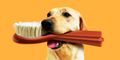 25,000 x Pedigree Dentastix Packs